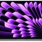 MacBook Air 13" (Mitte-2022) Apple M2 (CPU 8 / GPU 10) - 8 Go - 512 Go - Correct - QWERTY Espagnol 1